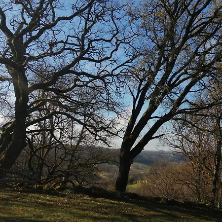 Gite Le Pigonnier Ecogite Le Luquet Saint Beauzeil 82150 Εξωτερικό φωτογραφία