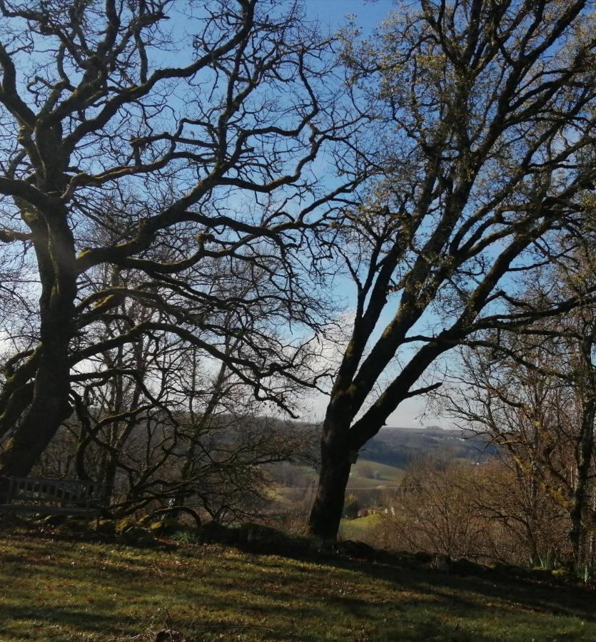 Gite Le Pigonnier Ecogite Le Luquet Saint Beauzeil 82150 Εξωτερικό φωτογραφία