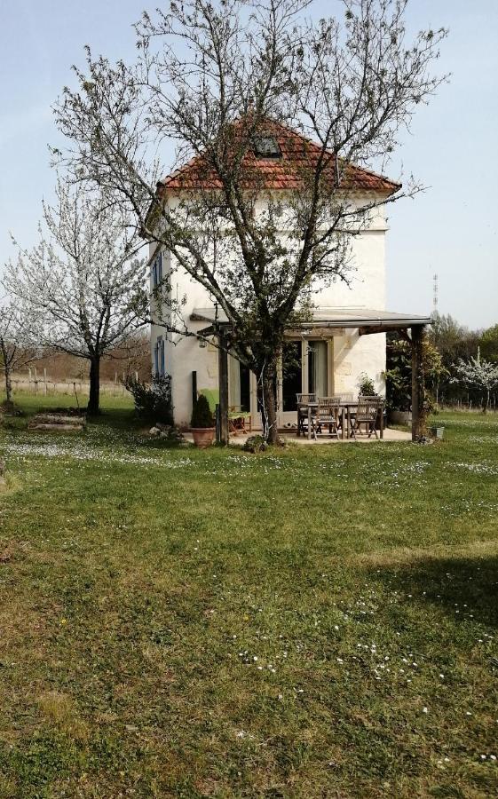 Gite Le Pigonnier Ecogite Le Luquet Saint Beauzeil 82150 Εξωτερικό φωτογραφία
